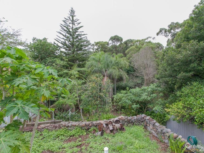 46 Tirriki Street, Charlestown NSW 2290