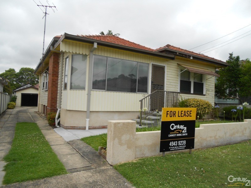 12 Blamey Avenue, New Lambton NSW 2305