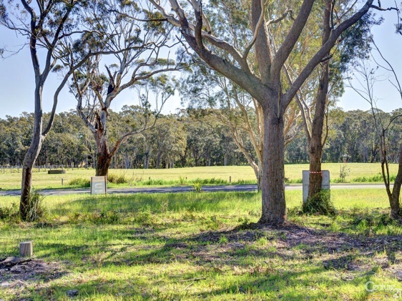 3 Salt Bush Avenue, One Mile NSW 2316