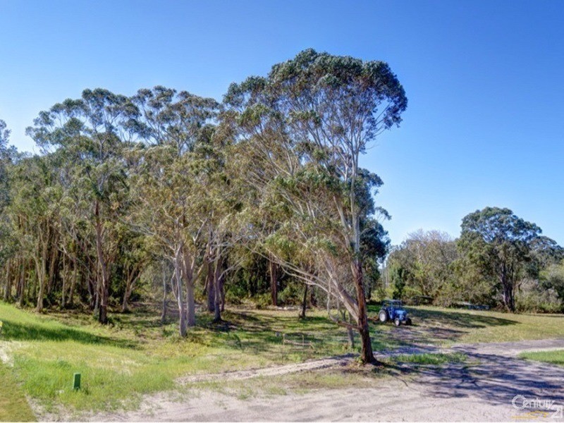 3 Salt Bush Avenue, One Mile NSW 2316