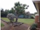 17 Halewood Close, Jewells NSW 2280