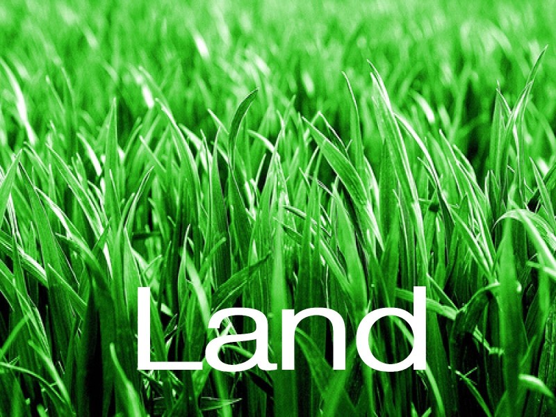 17 Hill Street, North Lambton NSW 2299