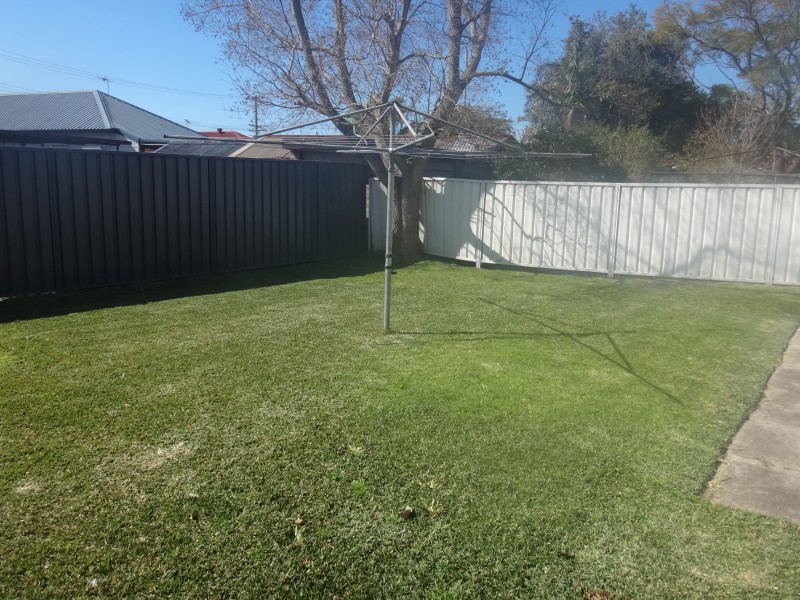 6 Watson Street, Mayfield NSW 2304