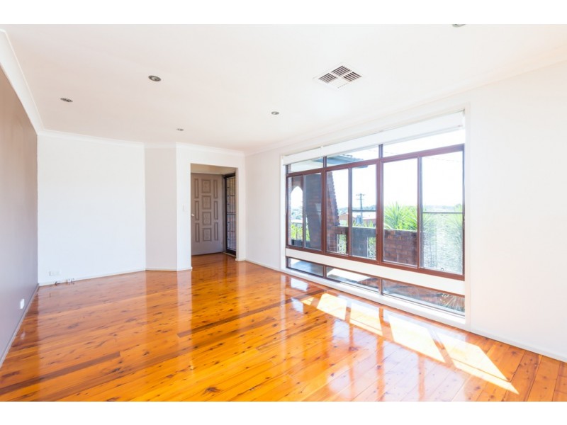 159 Elermore Parade, Wallsend NSW 2287