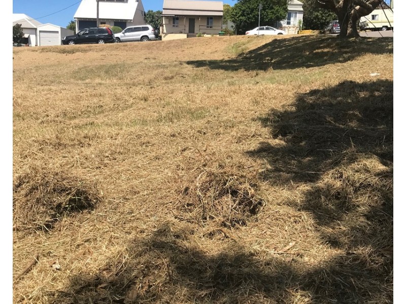 Lot 1/15A Railway Street, Dudley NSW 2290