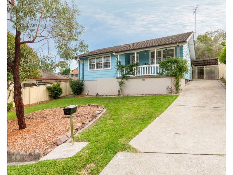 12 Bean Street, Gateshead NSW 2290