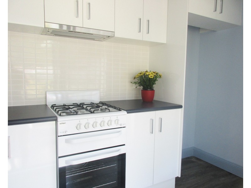 18 Denison Street, Mayfield NSW 2304