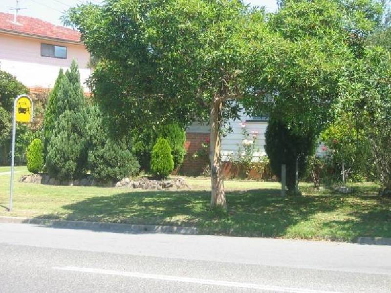 159 Wilkinson Avenue, Birmingham Gardens NSW 2287