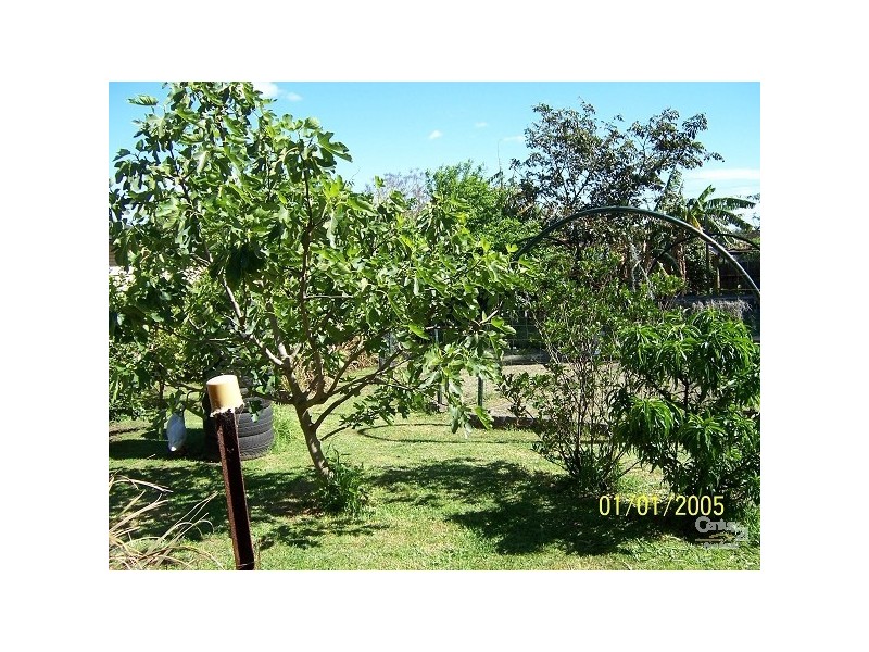 10 Martindale, Wallsend NSW 2287