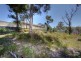 8 Ripon Way, Macquarie Hills NSW 2285
