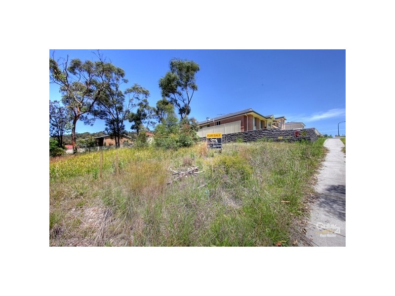 8 Ripon Way, Macquarie Hills NSW 2285