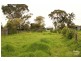 118 Marsden Street, Shortland NSW 2307