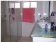 240 The Esplanade, Speers Point NSW 2284