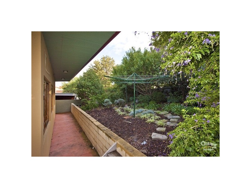 50 Dickson Street, Lambton NSW 2299