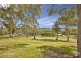 53 Wilsons Road, Mount Hutton NSW 2290