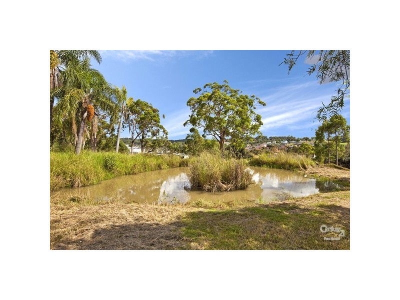 53 Wilsons Road, Mount Hutton NSW 2290