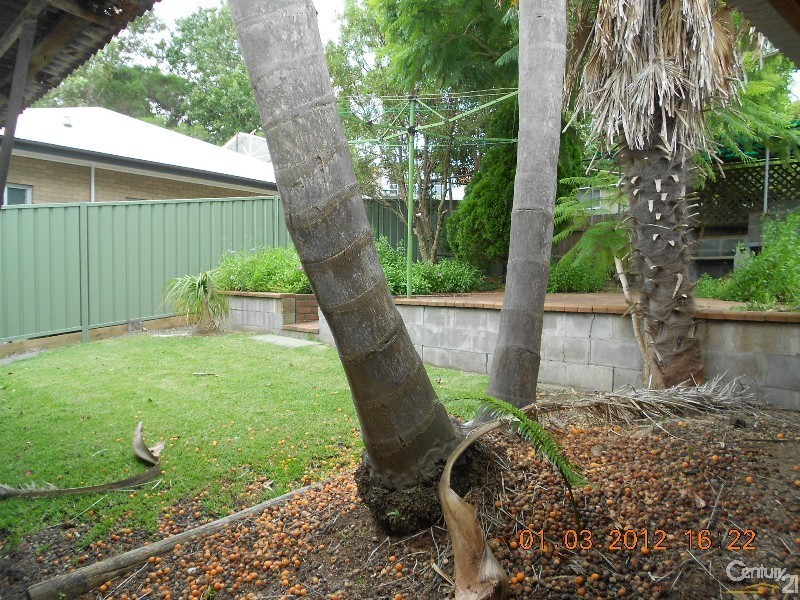 7 Candish Crescent, Whitebridge NSW 2290