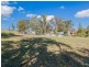 294A Lake Road, Glendale NSW 2285