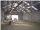 St Peters NSW 2044