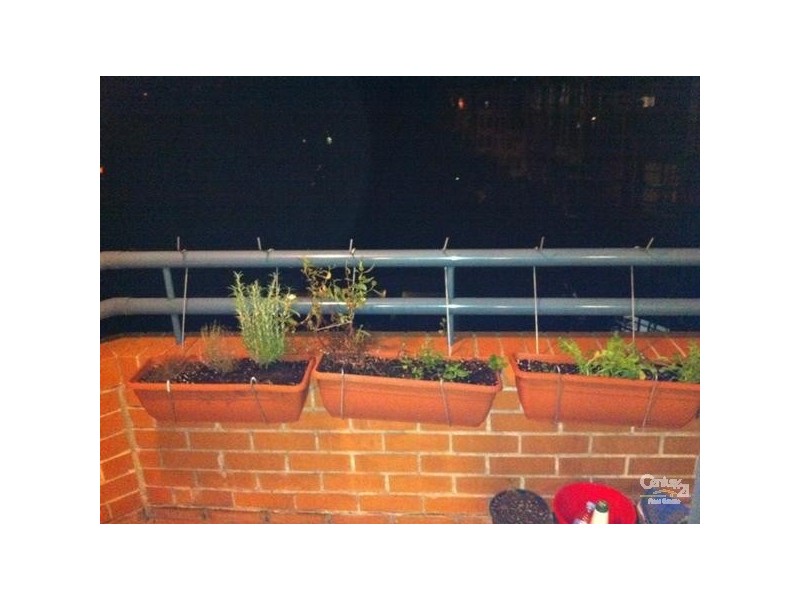 175/120 Pyrmont Street, Pyrmont NSW 2009