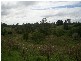 Irvington NSW 2470