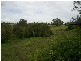 Irvington NSW 2470