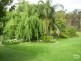 29 Bushrock Road, Ryhope NSW 2283