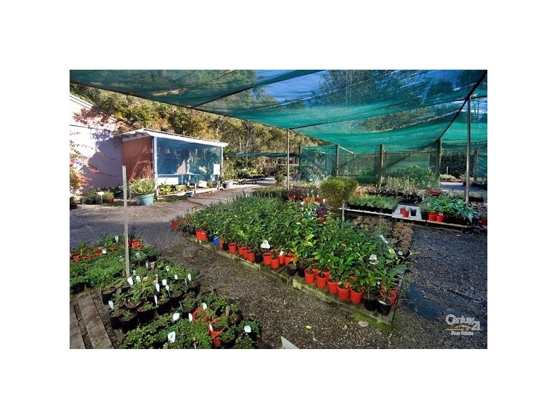 29 Bushrock Road, Ryhope NSW 2283
