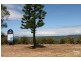 6 Karie Place, Rathmines NSW 2283