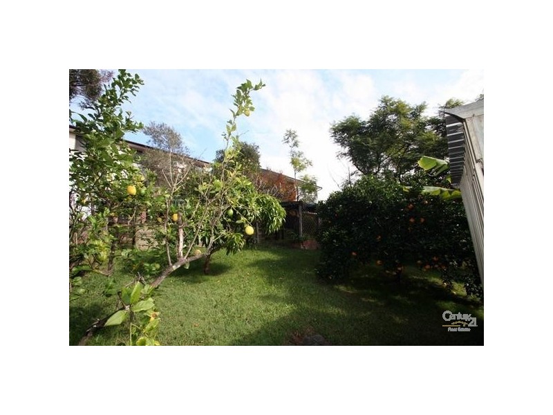 97 Arcadia Street, Arcadia Vale NSW 2283