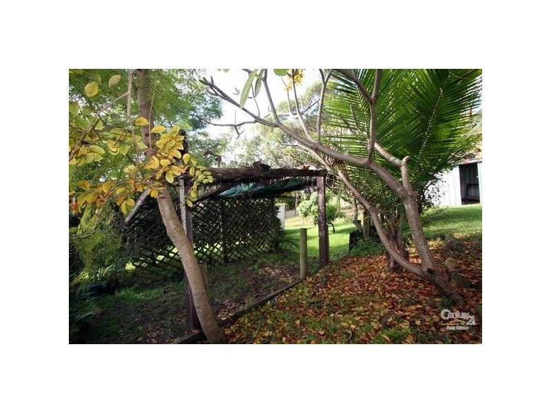 97 Arcadia Street, Arcadia Vale NSW 2283