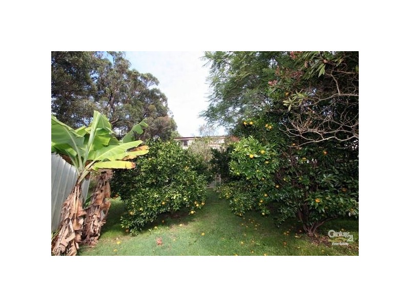 97 Arcadia Street, Arcadia Vale NSW 2283