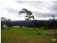 Morisset NSW 2264