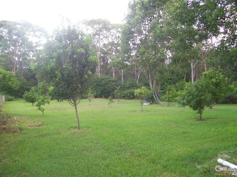 125 Newport Road, Dora Creek NSW 2264