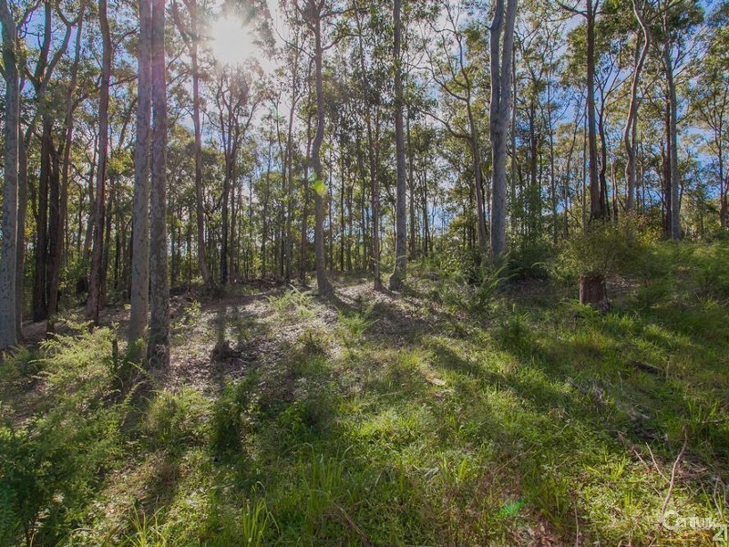 8 Columbia Close, Woodrising NSW 2284