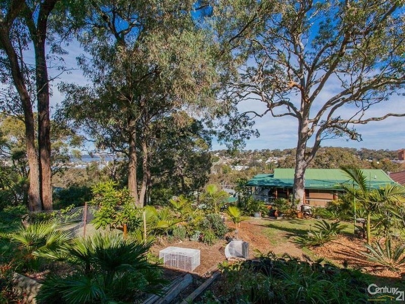 55 Fern Street, Arcadia Vale NSW 2283
