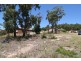 2 Burrawang Boulevarde, Toronto NSW 2283