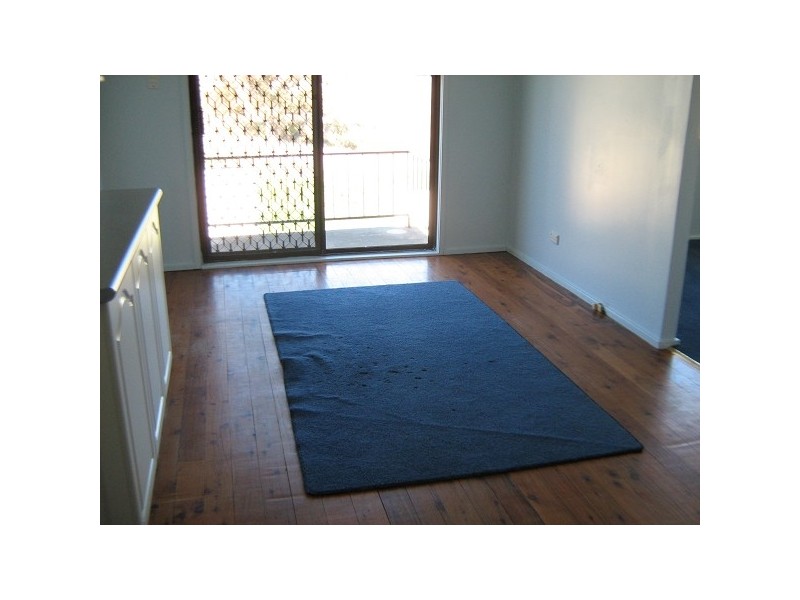 119 St Andrews Street, Aberdeen NSW 2336