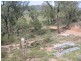 Sandy Hollow NSW 2333