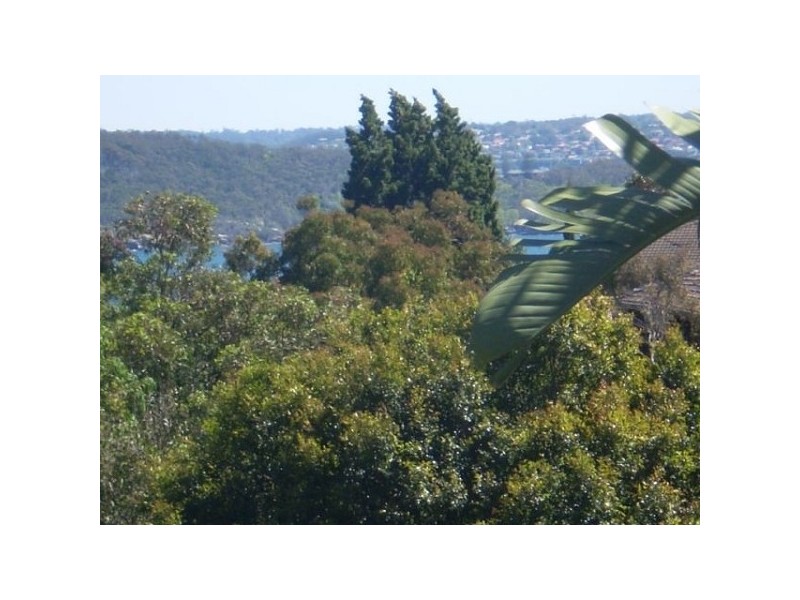 37 Olola Avenue, Vaucluse NSW 2030