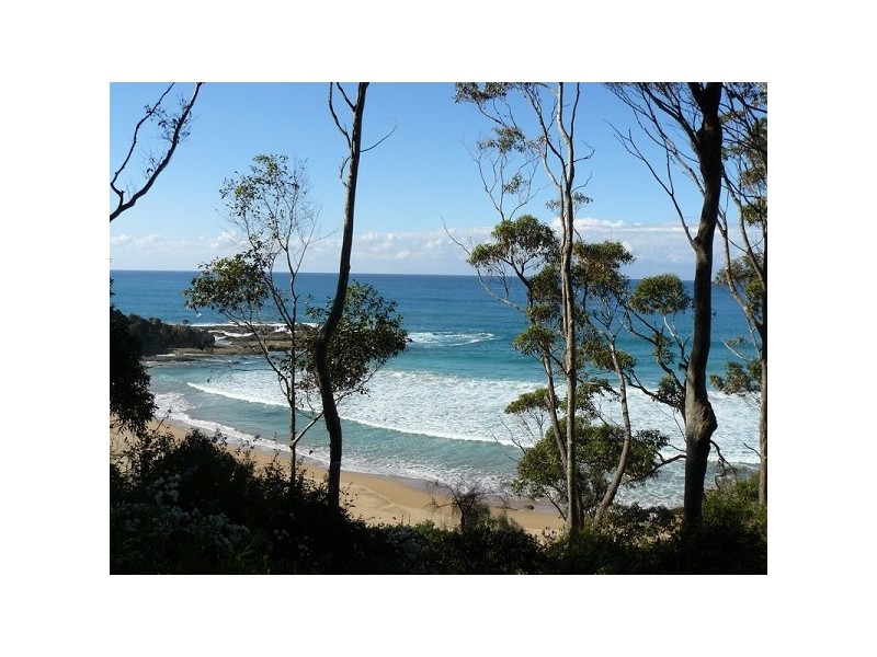 67 Yowani Road, Rosedale NSW 2536