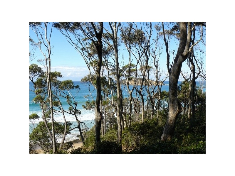 67 Yowani Road, Rosedale NSW 2536