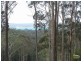 15 Jedel Drive, Catalina NSW 2536