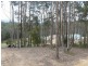 15 Jedel Drive, Catalina NSW 2536