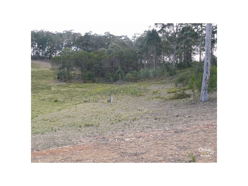 15 Jedel Drive, Catalina NSW 2536