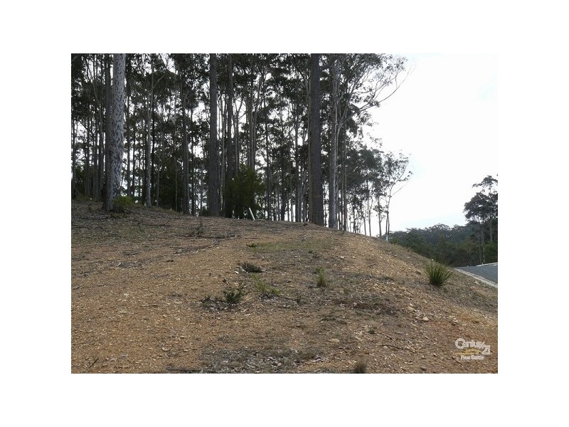15 Jedel Drive, Catalina NSW 2536