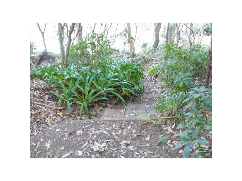 59 Yowani Rd, Rosedale NSW 2536