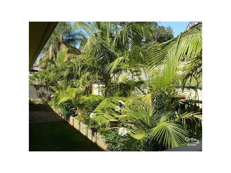 50 Ocean Avenue, Surf Beach NSW 2536