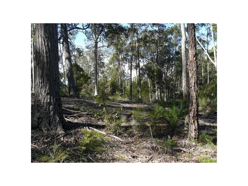 21 Currawong Crescent, Malua Bay NSW 2536