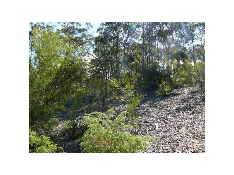 21 Currawong Crescent, Malua Bay NSW 2536